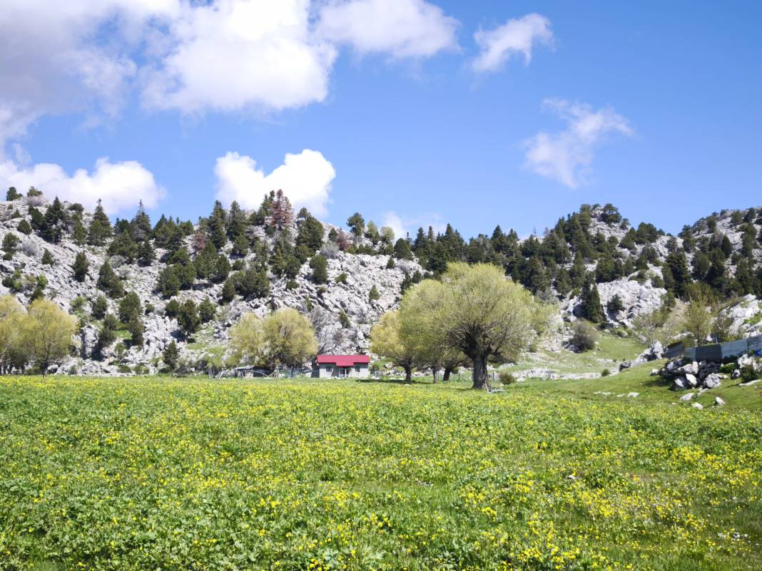 Konya’nın ünlü yaylasında baharın renkli yüzü çıktı 18